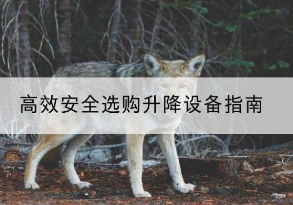邗江升降货梯厂家推荐-*安全选购升降设备指南