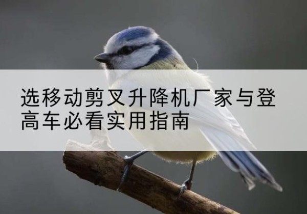 邗江电动升降机厂家-选移动剪叉升降机厂家与登高车必看实用指南