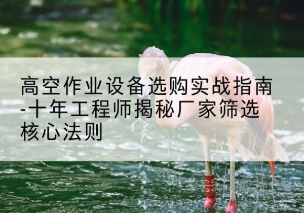 邗江剪叉式升降机厂家-高空作业设备选购实战指南-十年工程师揭秘厂家筛选核心法则